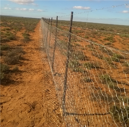 knersvlakte_nature_reserve_fencing5